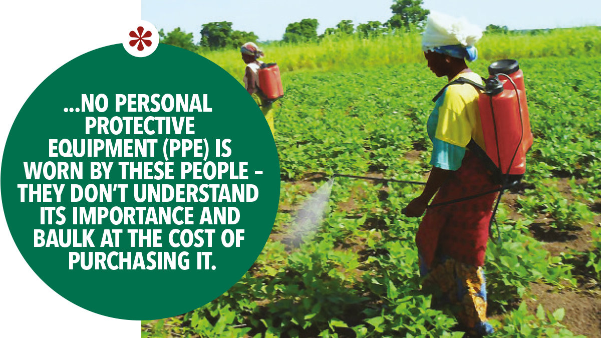 No personal protective equipment (PPE) is worn by these people